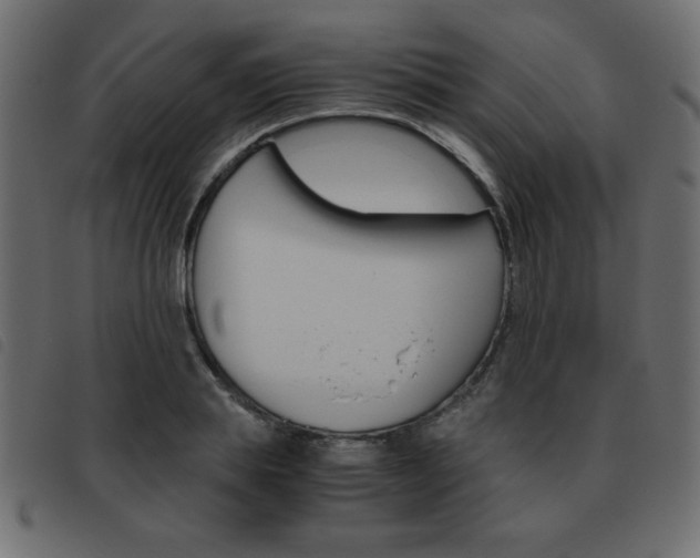 X0000093460839200710120948