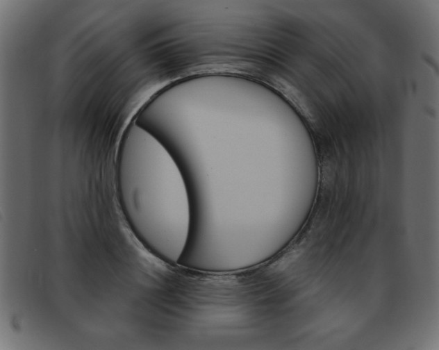 X0000093460844200710120948