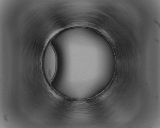 X0000093460846200710120948