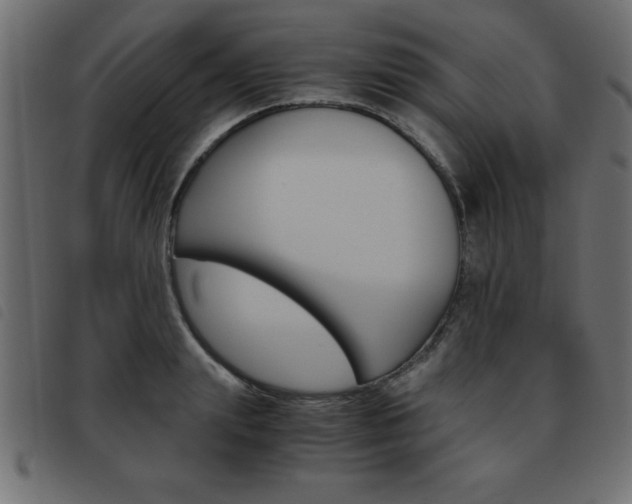 X0000093460847200710120948