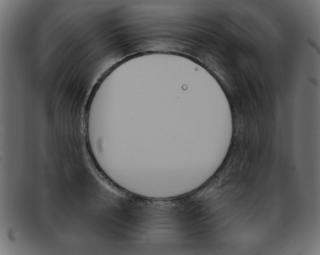 X0000093460848200710120948