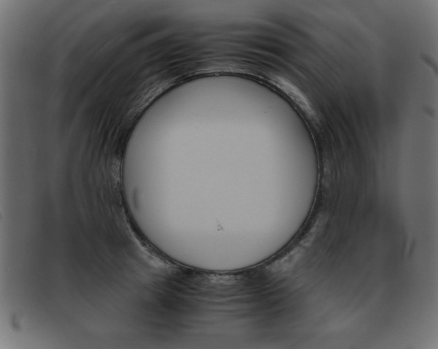 X0000093460849200710120948