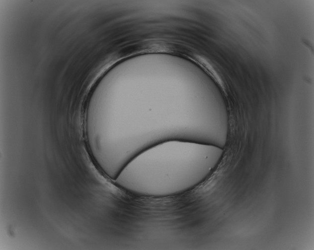 X0000093460851200710120948