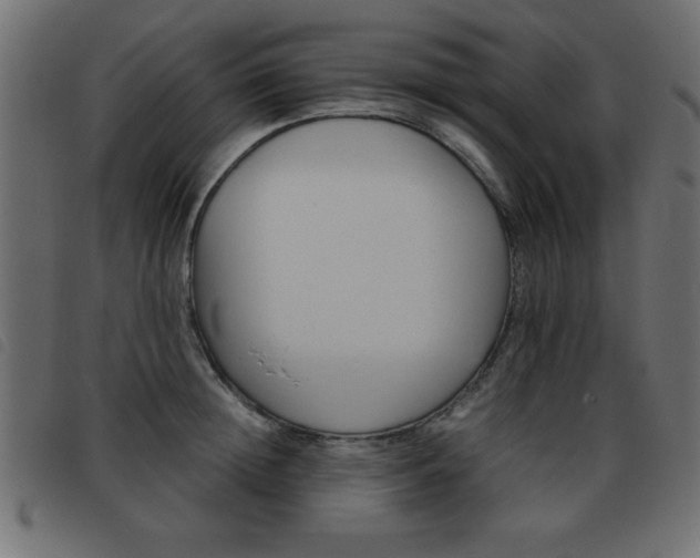 X0000093460852200710120948