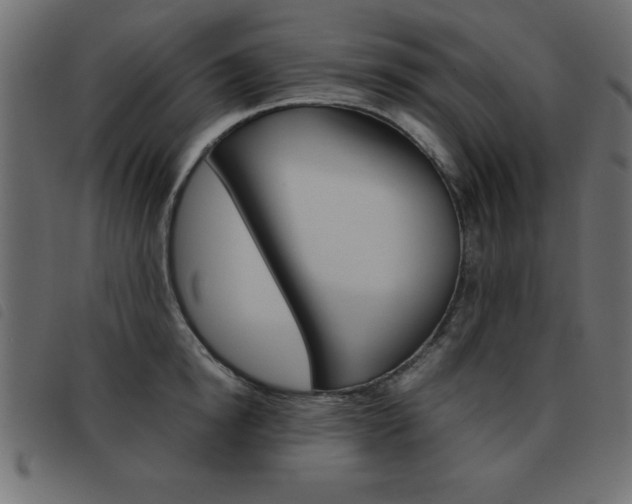 X0000093460854200710120948