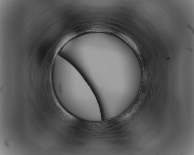 X0000093460855200710120948