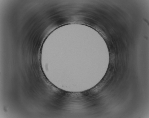 X0000093460856200710120948