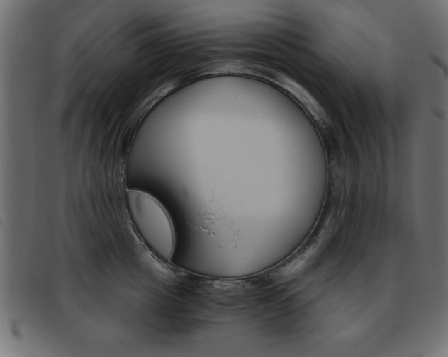 X0000093460857200710120948