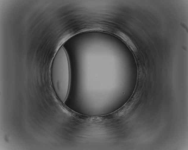 X0000093460858200710120948