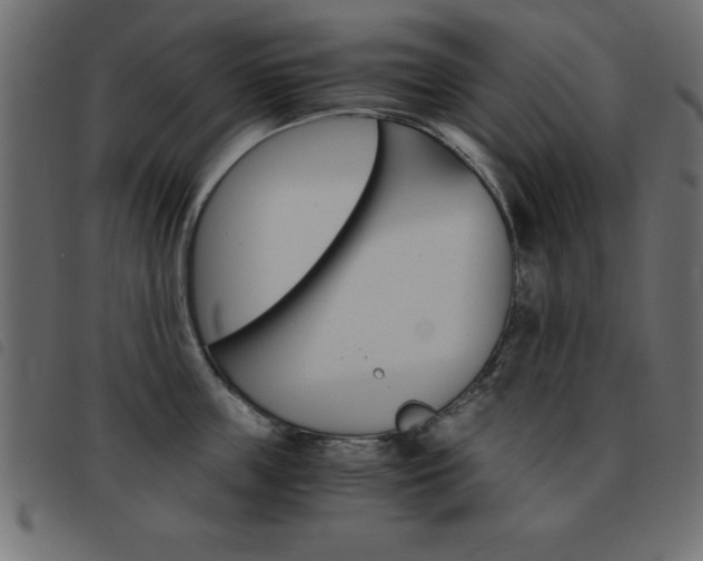 X0000093460859200710120948