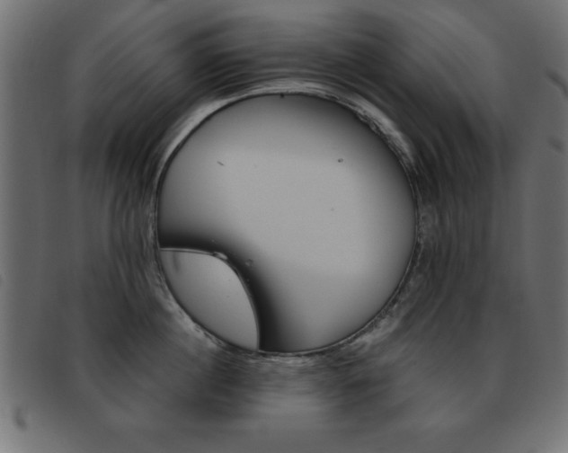 X0000093460860200710120948