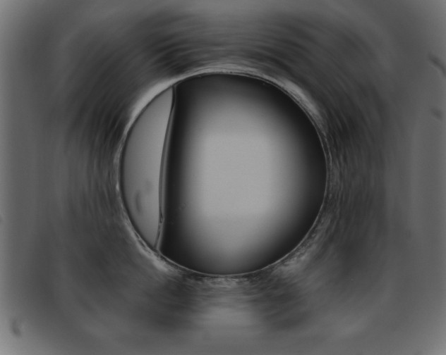 X0000093460862200710120948