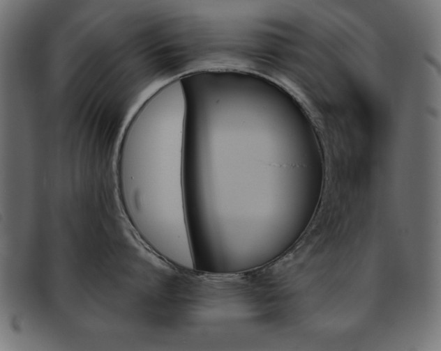X0000093460864200710120948