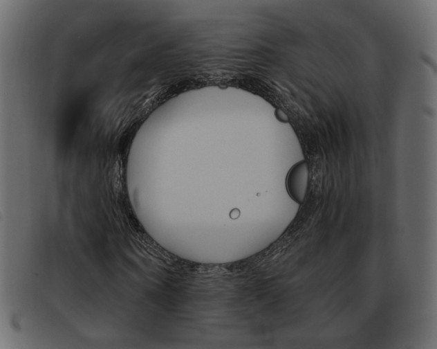 X0000093460866200710120948