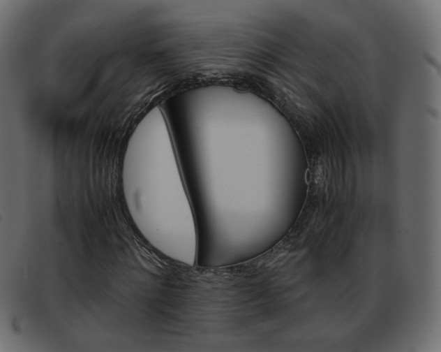 X0000093460868200710120948