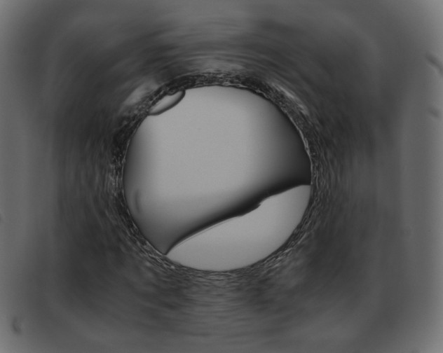 X0000093460869200710120948