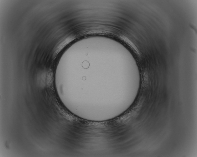 X0000093460874200710120948