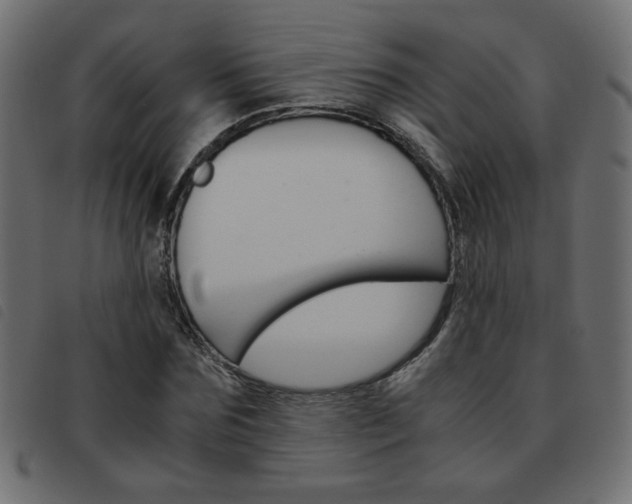 X0000093460875200710120947