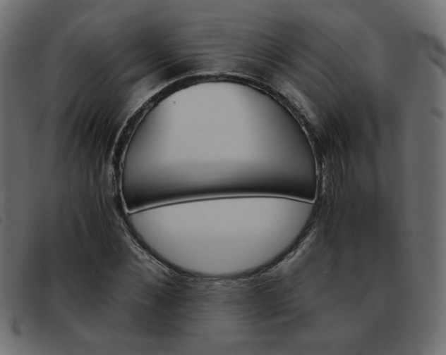 X0000093460876200710120947