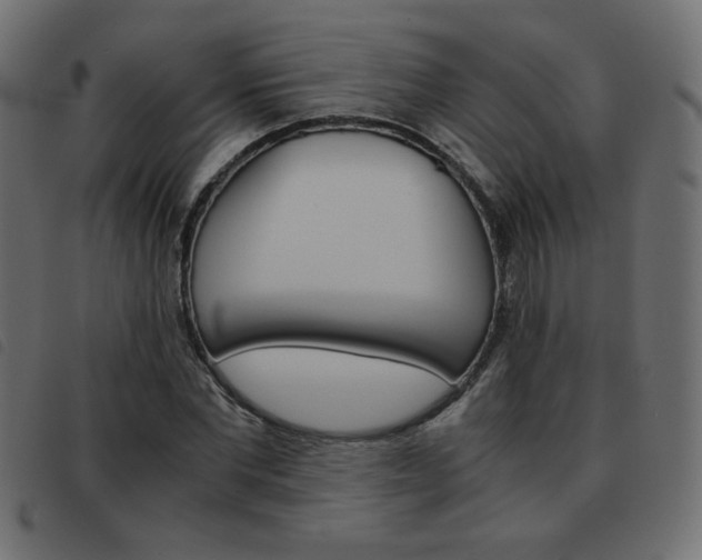 X0000093460877200710120947