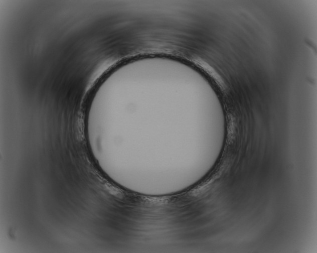 X0000093460878200710120947
