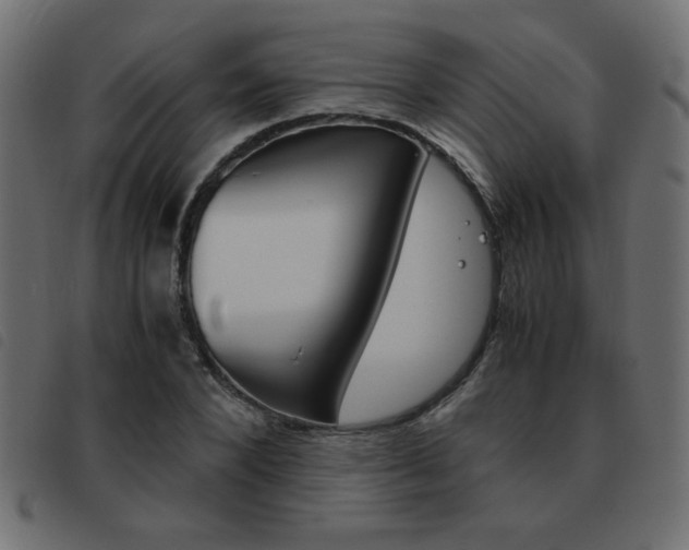 X0000093460880200710120947