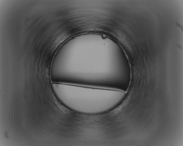 X0000093460881200710120947