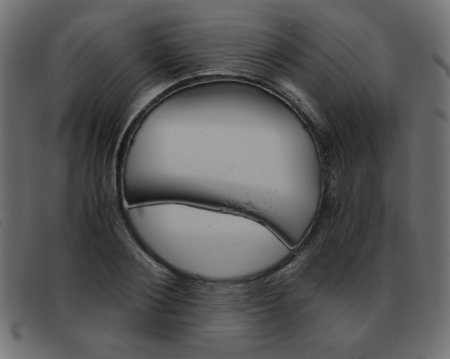 X0000093460884200710120947