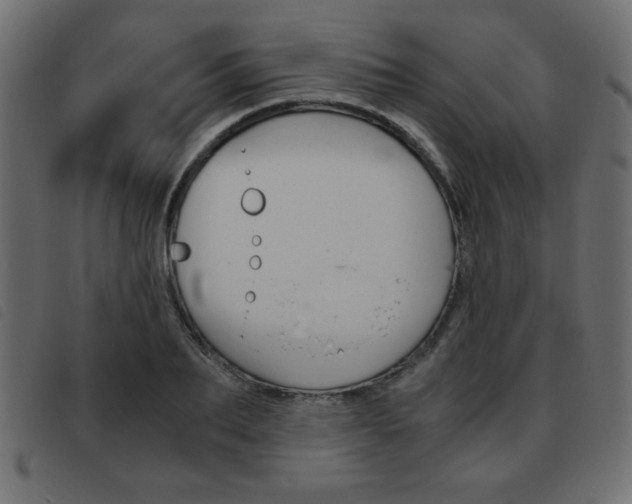 X0000093460887200710120947