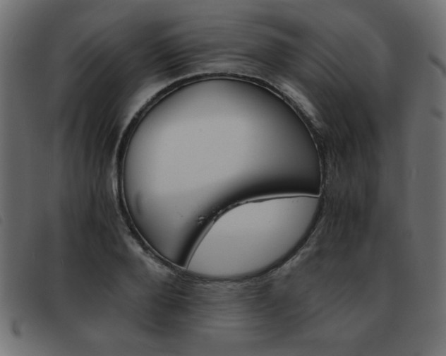 X0000093460888200710120947
