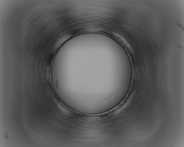 X0000093460889200710120947