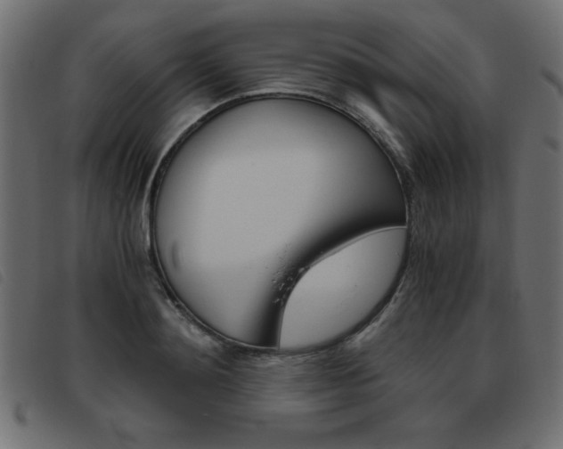 X0000093460892200710120947