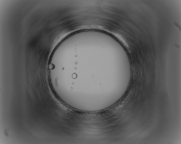 X0000093460895200710120947