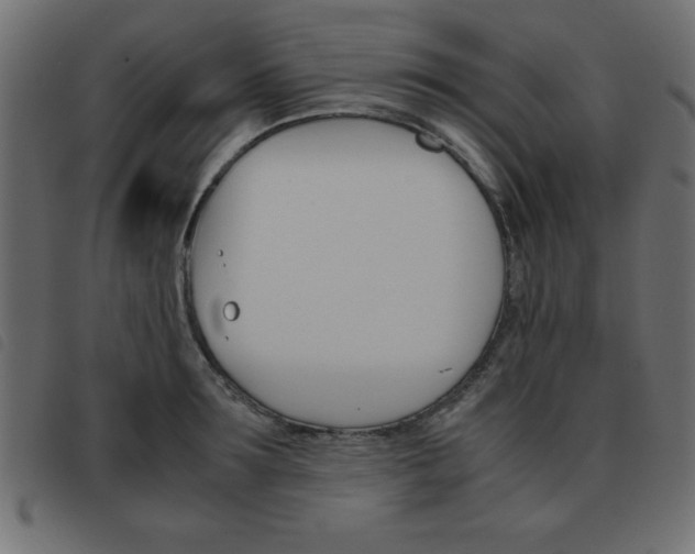 X0000093460899200710120947