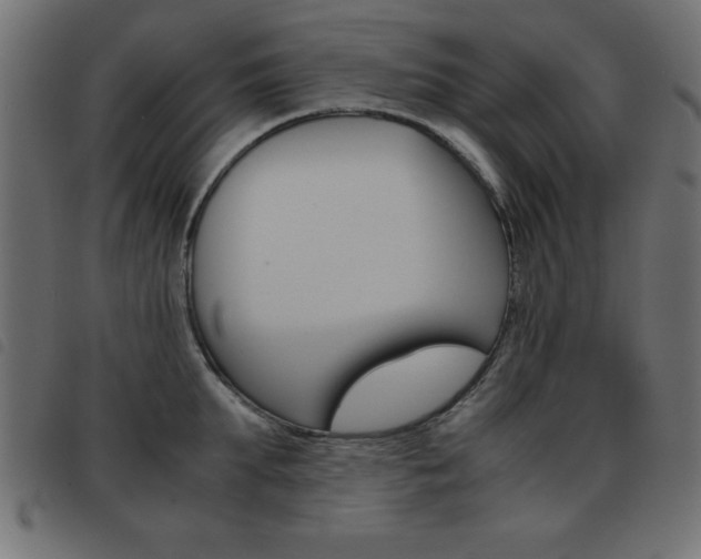 X0000093460903200710120947