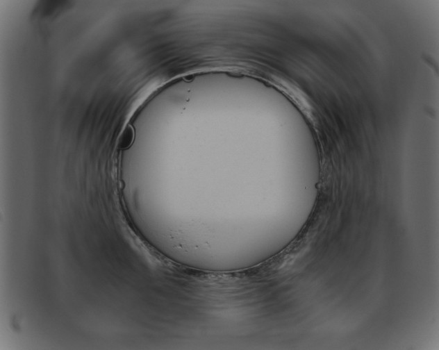 X0000093460907200710120947