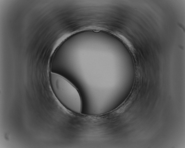 X0000093460910200710120947