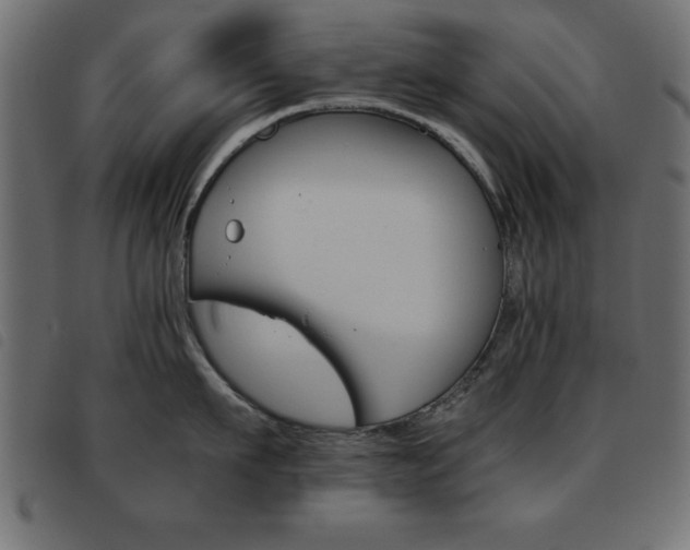 X0000093460911200710120947