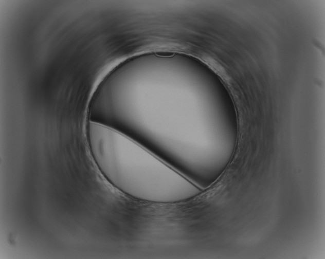 X0000093460912200710120947