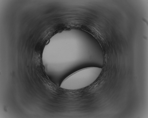 X0000093460915200710120946