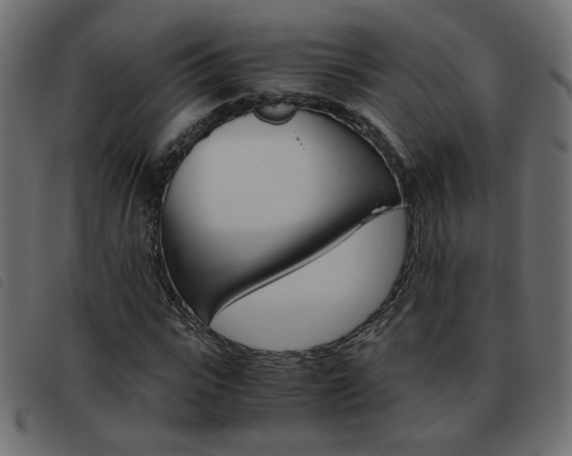 X0000093460919200710120946