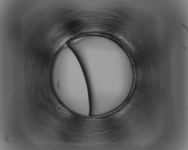 X0000093460921200710120946