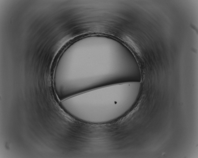 X0000093460924200710120946