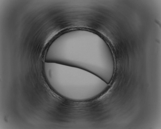 X0000093460925200710120947