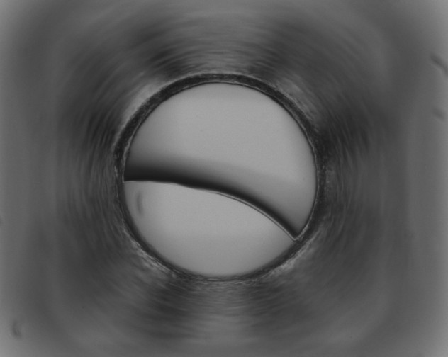 X0000093460926200710120947