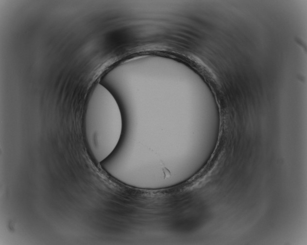 X0000093460929200710120947