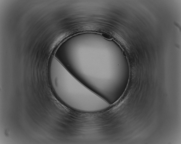 X0000093460930200710120947