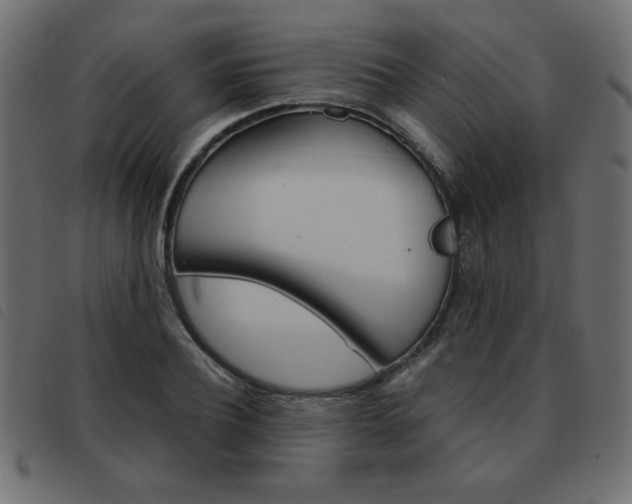 X0000093460932200710120947