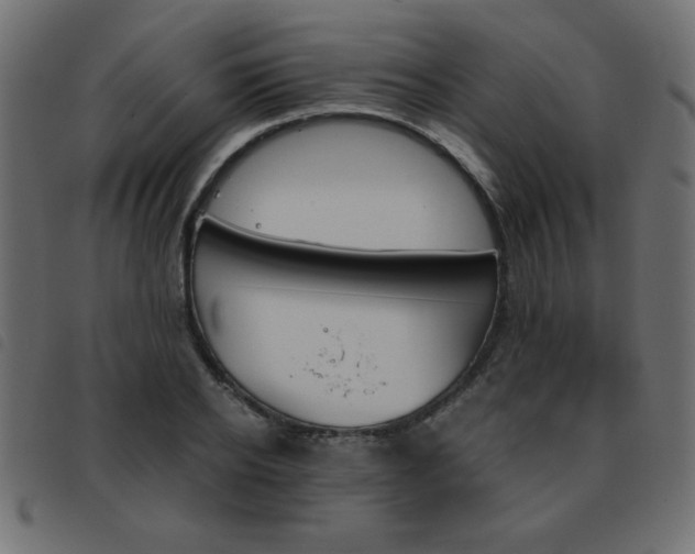 X0000093460934200710120947