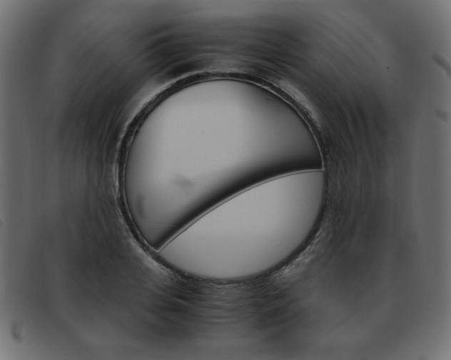 X0000093460935200710120947